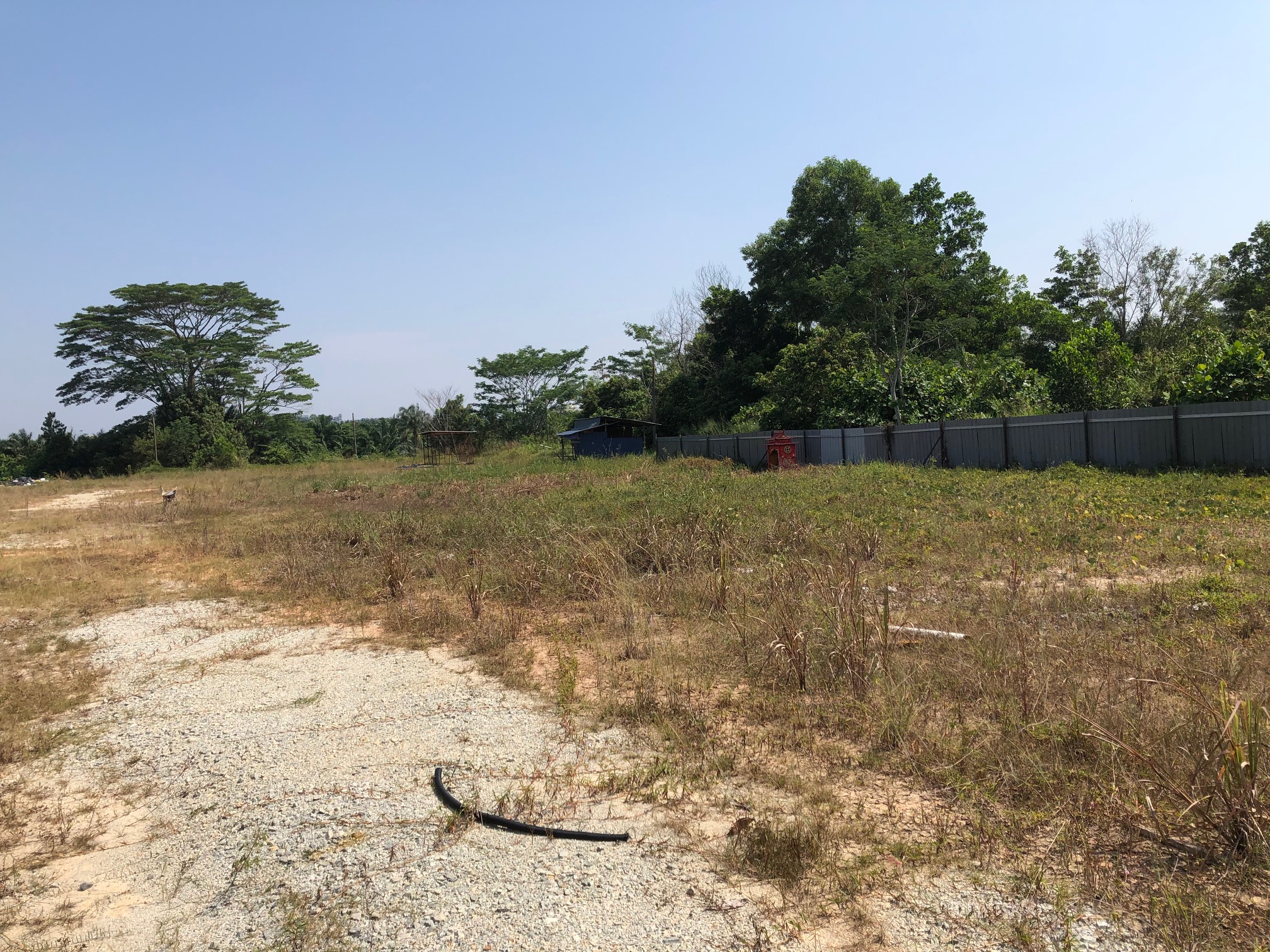 Pahang Mentakab Agricultural Land main road frontage - Image 1