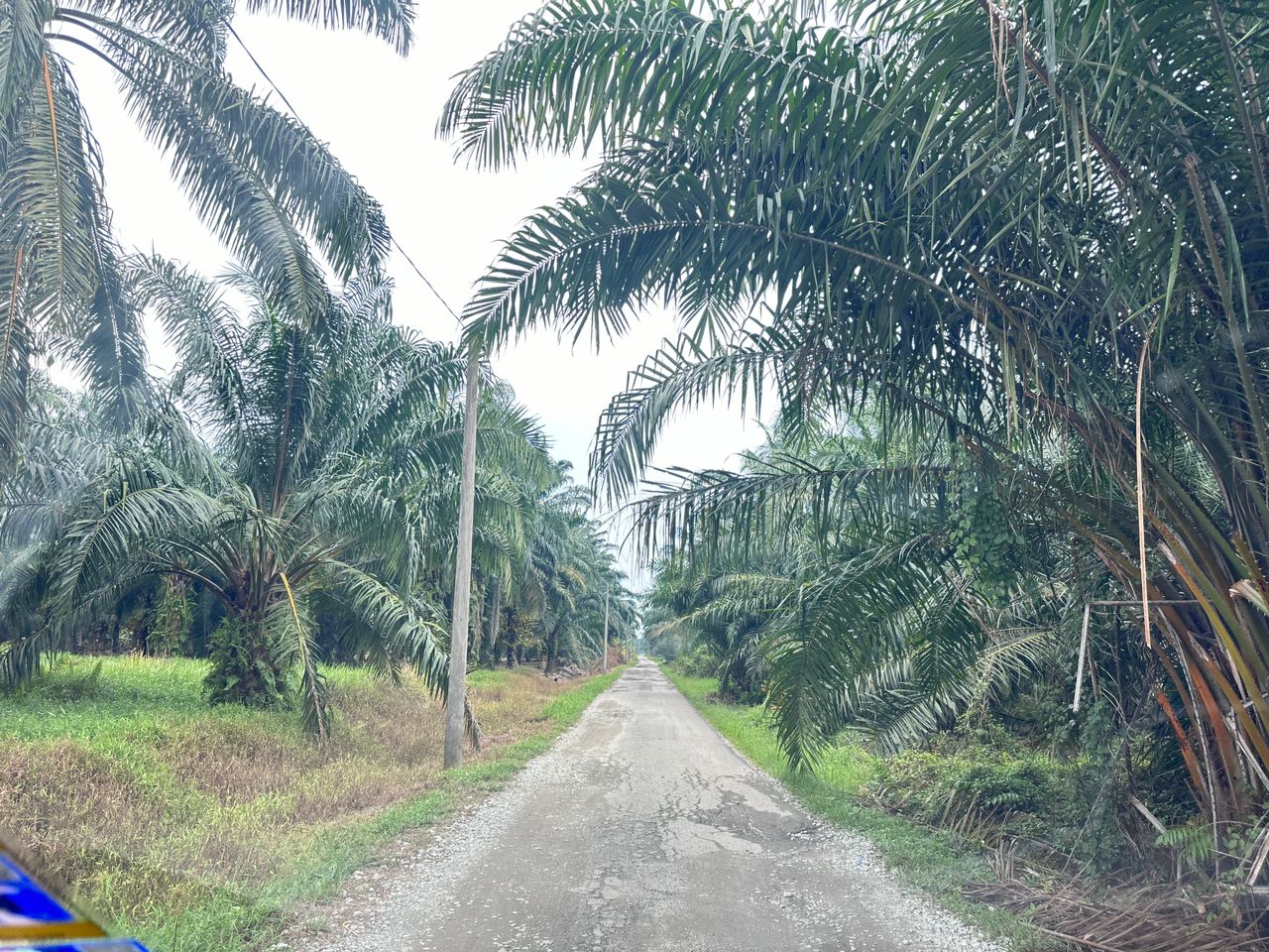 SIJANKANG, Telok Panglima Garang (ARGI LAND) - Image 1
