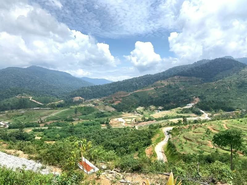 Agricultural land for sale at Agriculture land for Sale