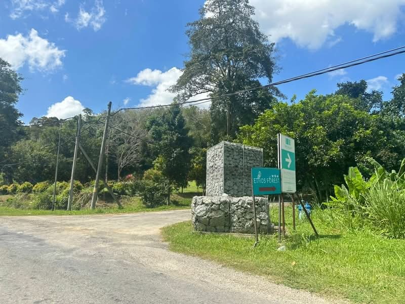Agricultural land for sale at Karak , Bentong agriculture land, The Valley @ Bentong - photo 1 of 12