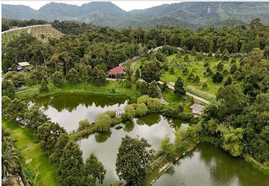 2609 4817 Agri Land Hulu Langat by Emily